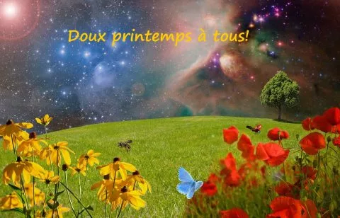 doloreslamarre-blogue-mars-2021